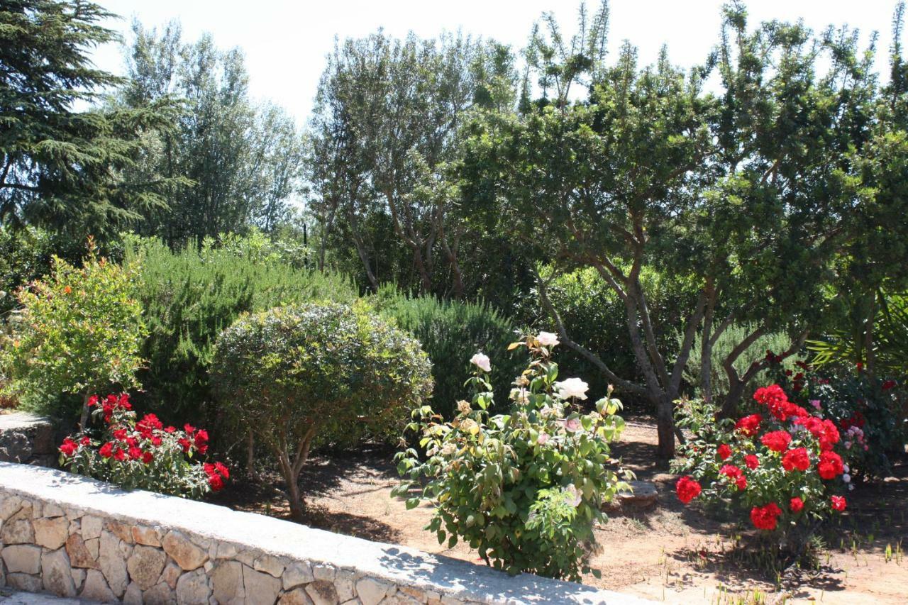 Villa Torre San Giovanni Ugento Dış mekan fotoğraf